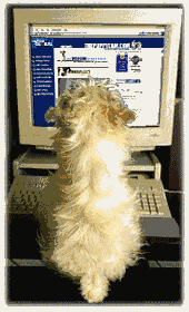 hond voor P.C.