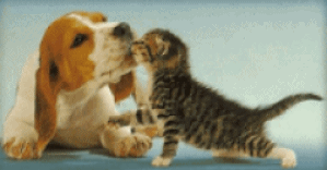 Knuffelsssss